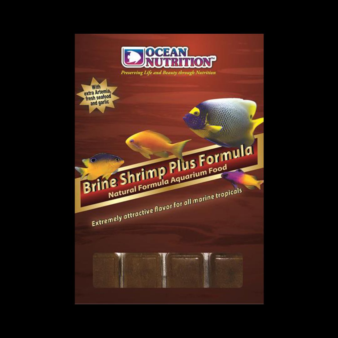 Ocean Nutrition Brine Shrimp Plus Frossenfôr