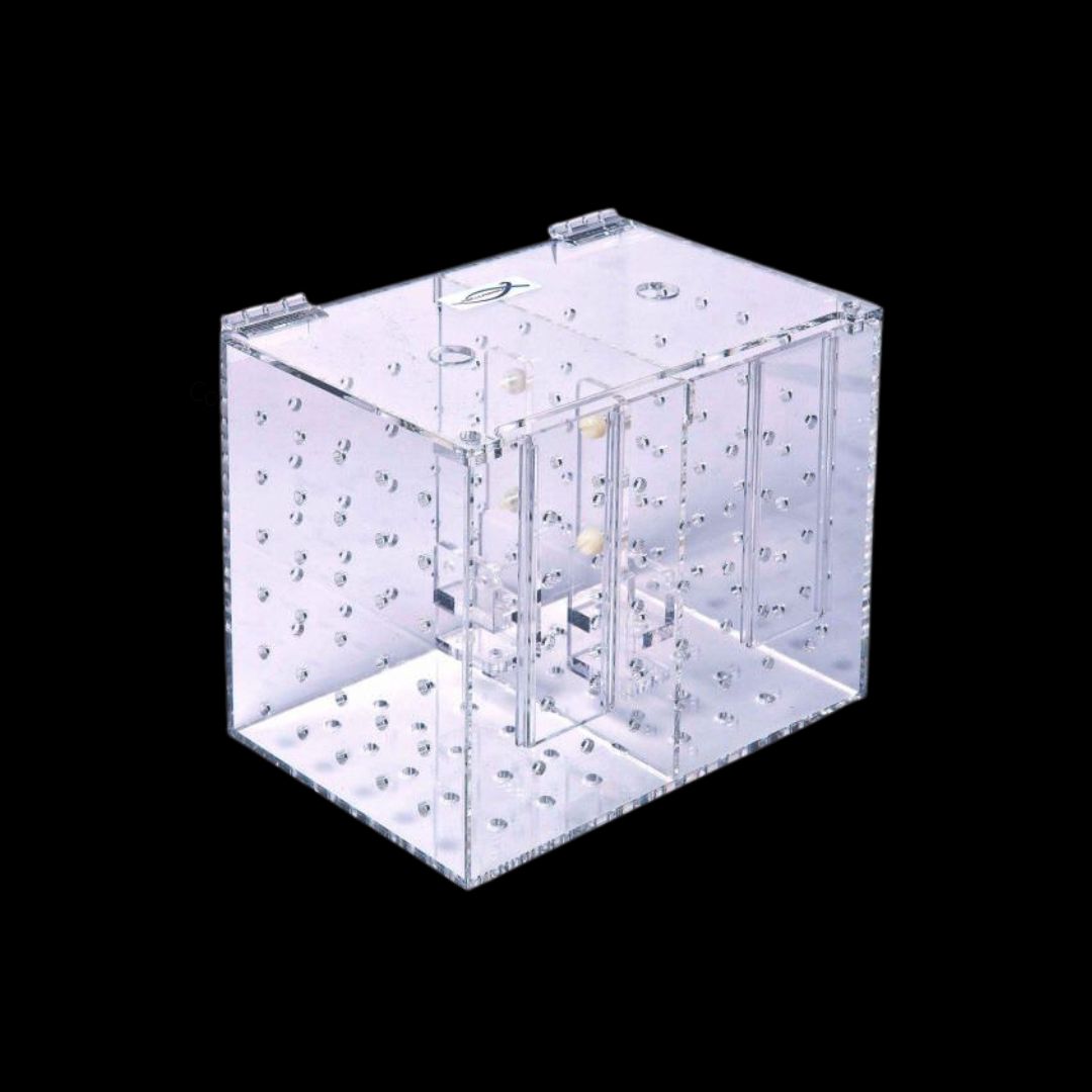 Aquarioom Acclimation case
