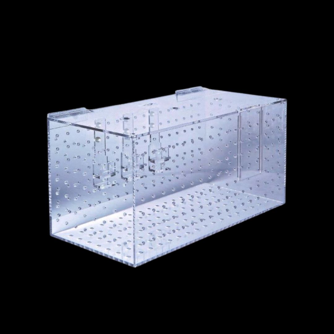 Aquarioom Acclimation case XL