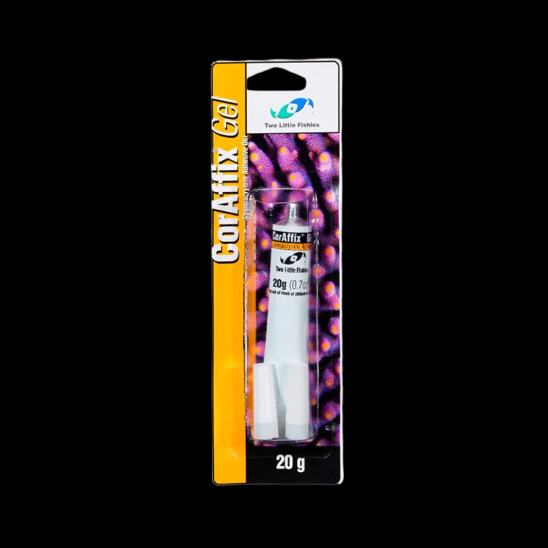 CorAffix Cyanoacrylate Gel Superlim - 20 g