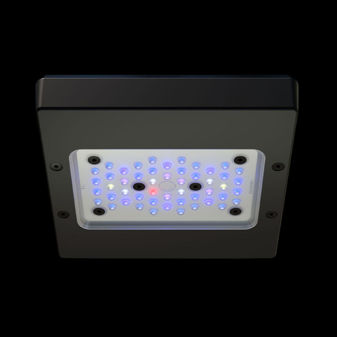 Ecotech Radion XR15 G6 BLUE