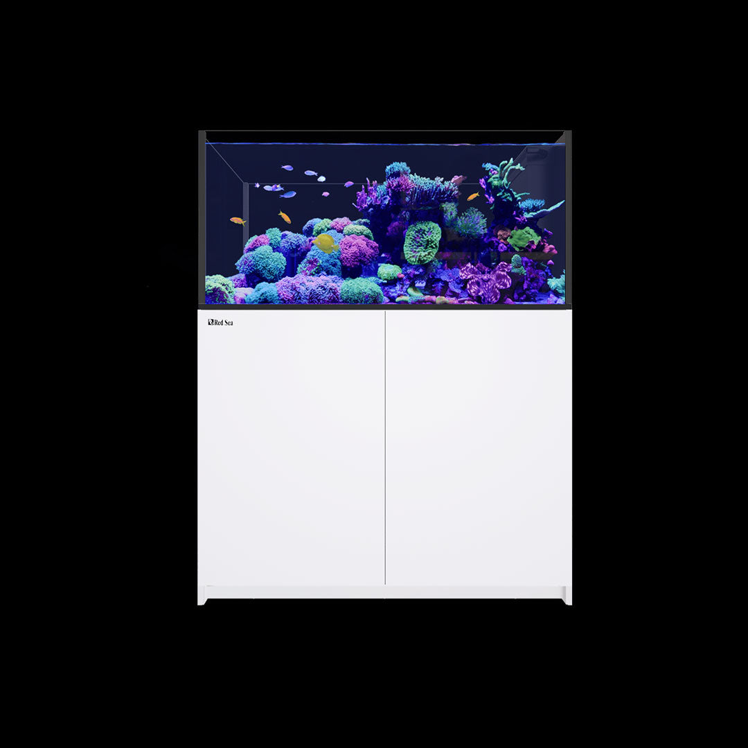 Red Sea REEFER Peninsula 500 G2+