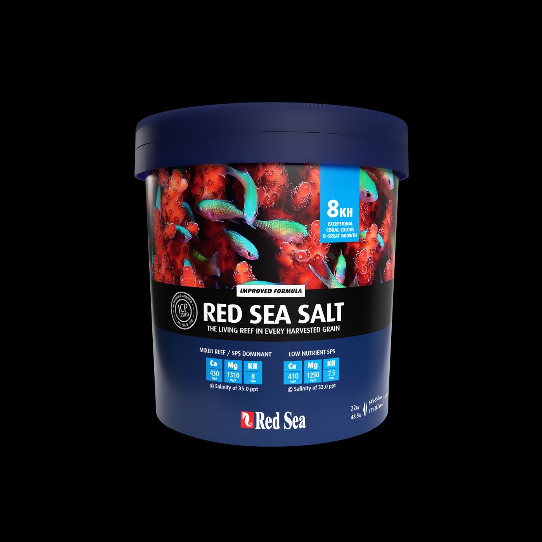Red Sea Salt 22kg