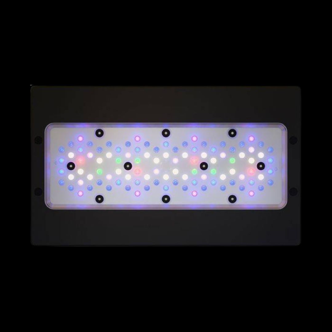 Radion XR30 G6 BLUE LED Lys