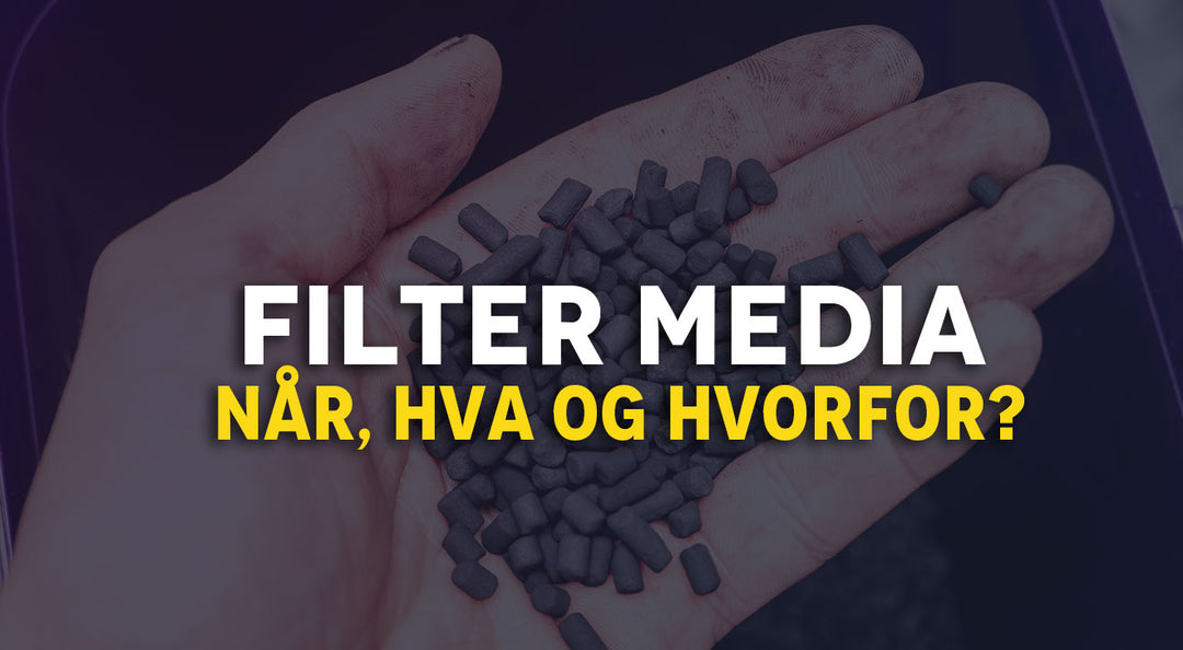 Filter media? Når, hva og hvorfor!