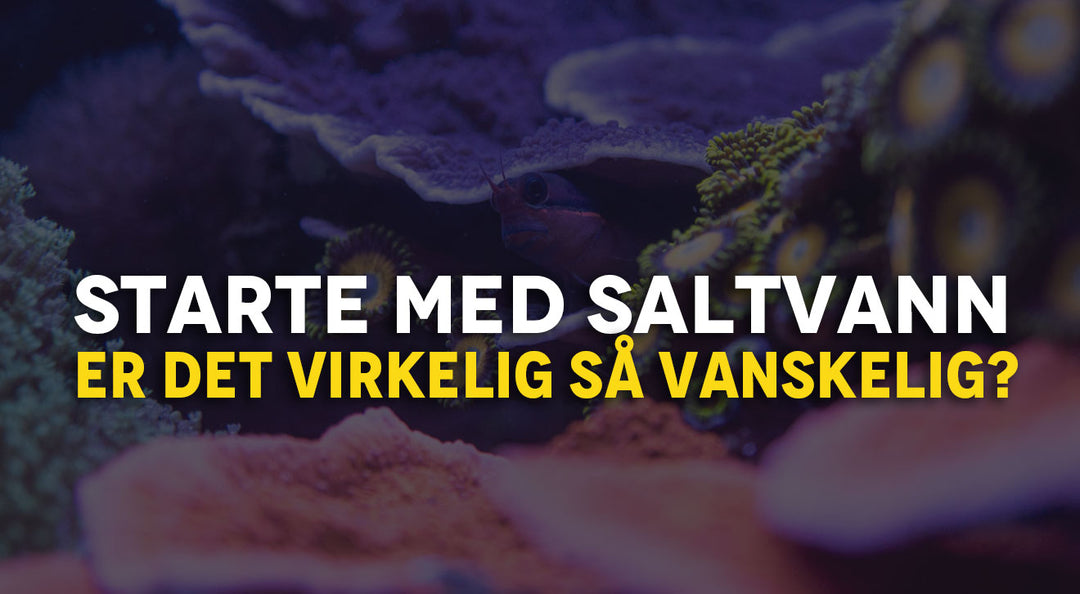 Er saltvann vanskelig?