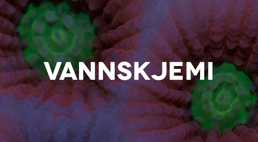 Vannskjemi