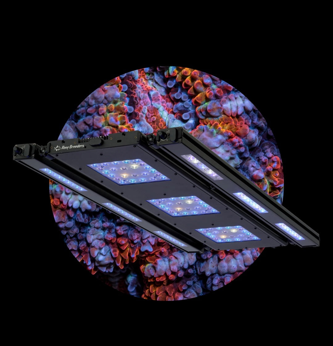 ReefBreeders