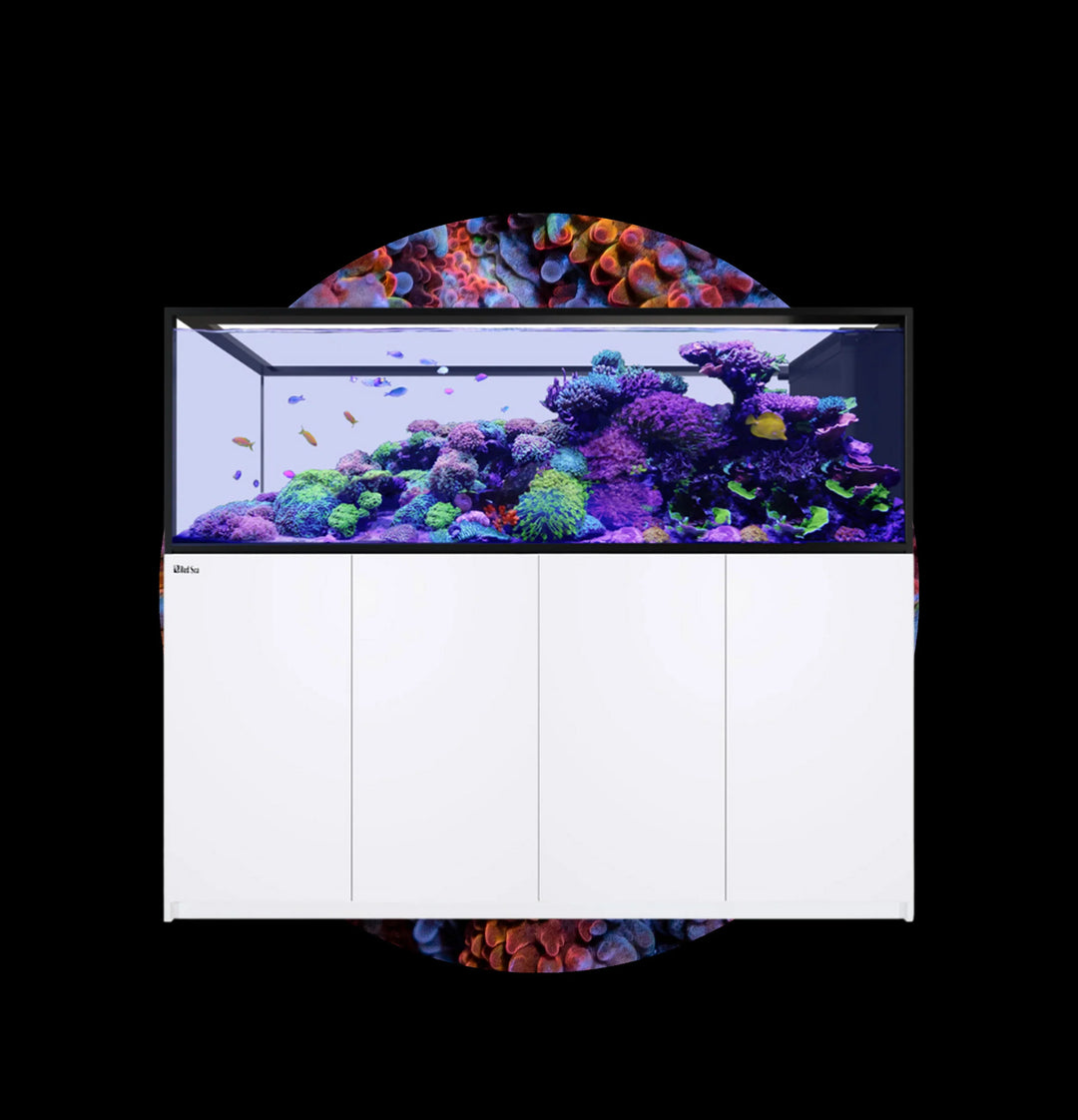 Neptunian Cube Akvarium
