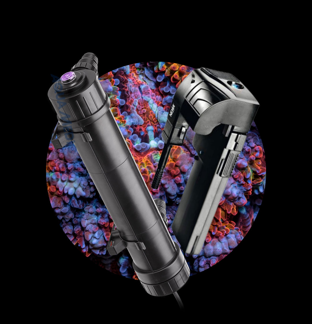 UV Filter