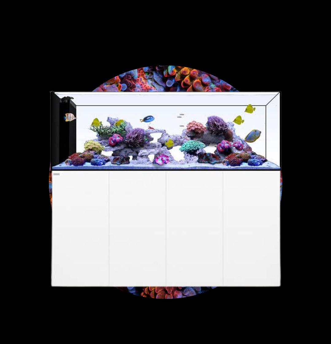 Waterbox Akvarium