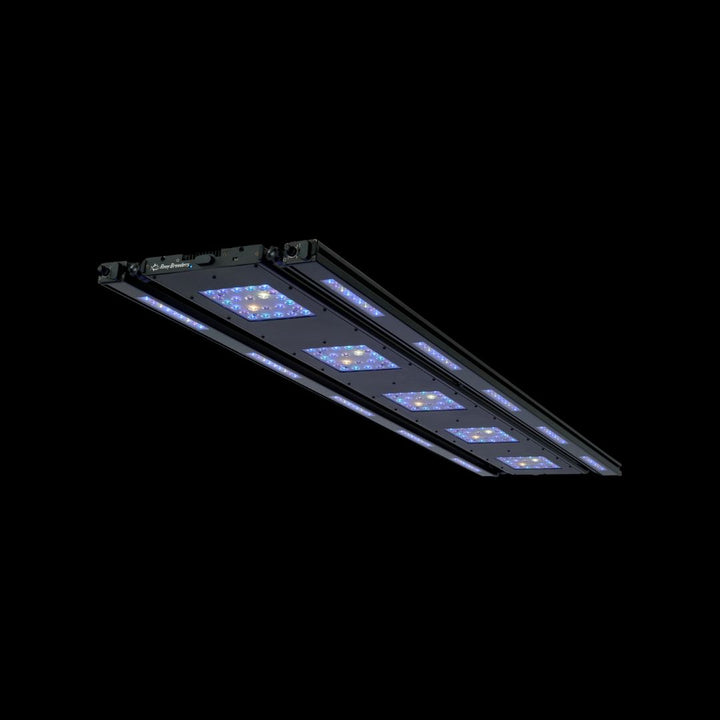 ReefBreeders Meridian 63 Edge Bar Sett