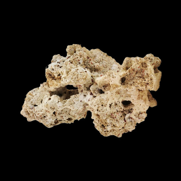 Reef Unity Dry Base Rock Indonesia