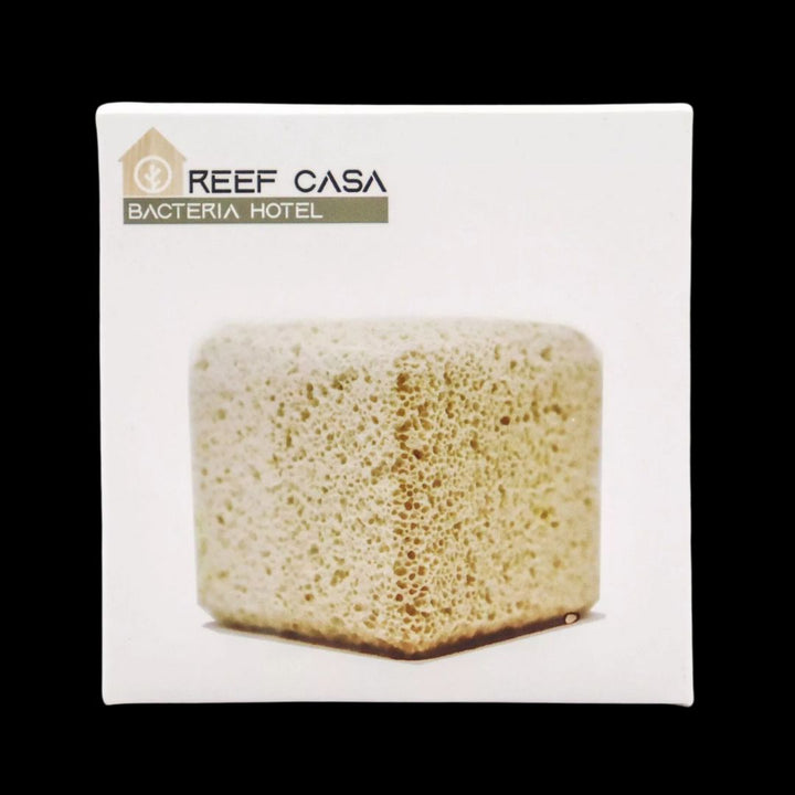 Reef Casa Bacteria Hotel Block