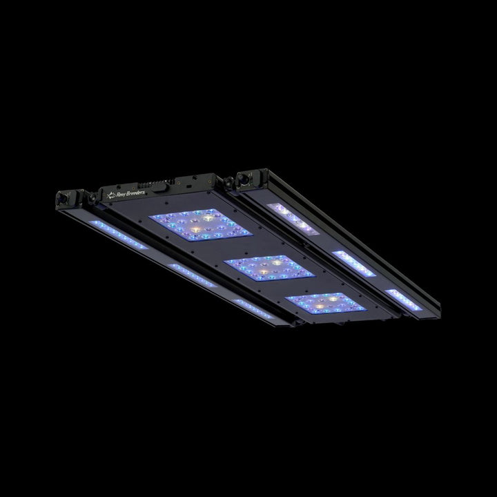Meridian 35 Edge Bar Sett