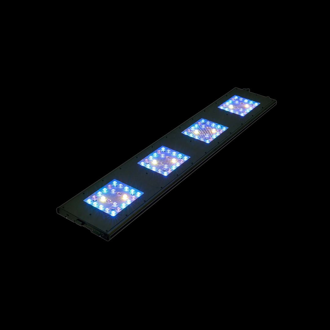 ReefBreeders Meridian 45