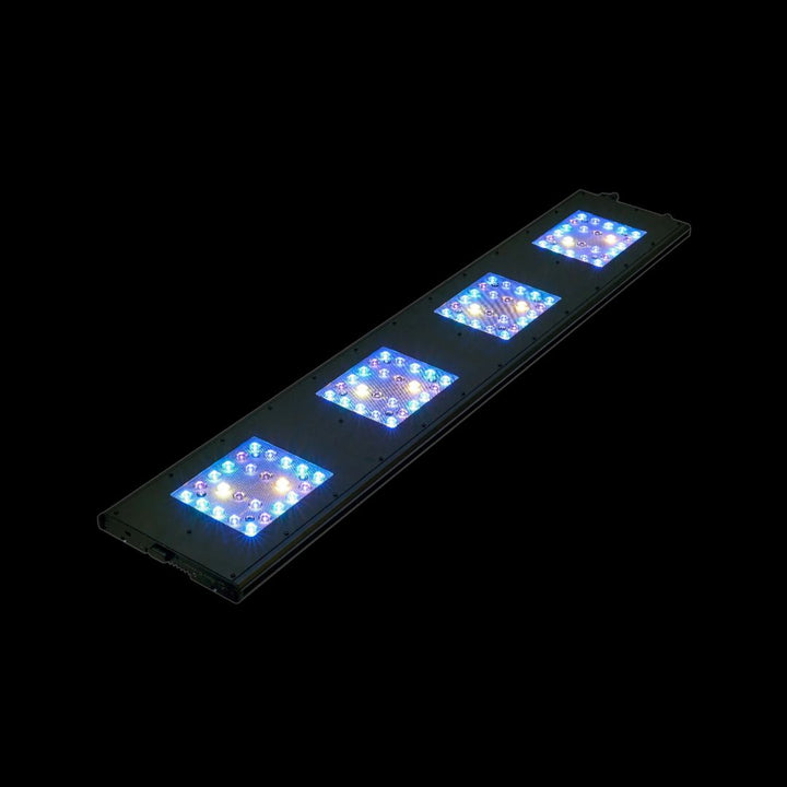 Reef Breeders Meridian 63