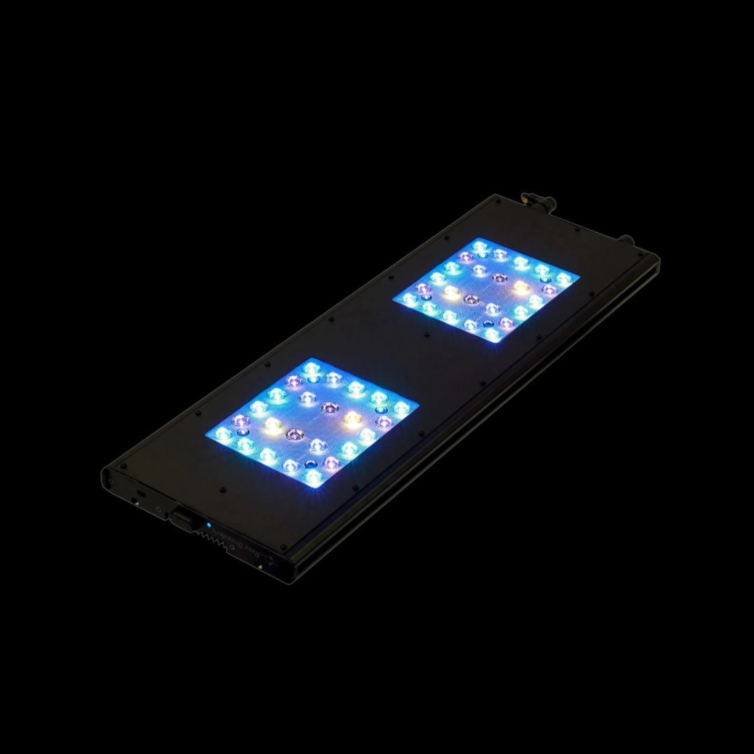 Reef Breeders Meridian 24