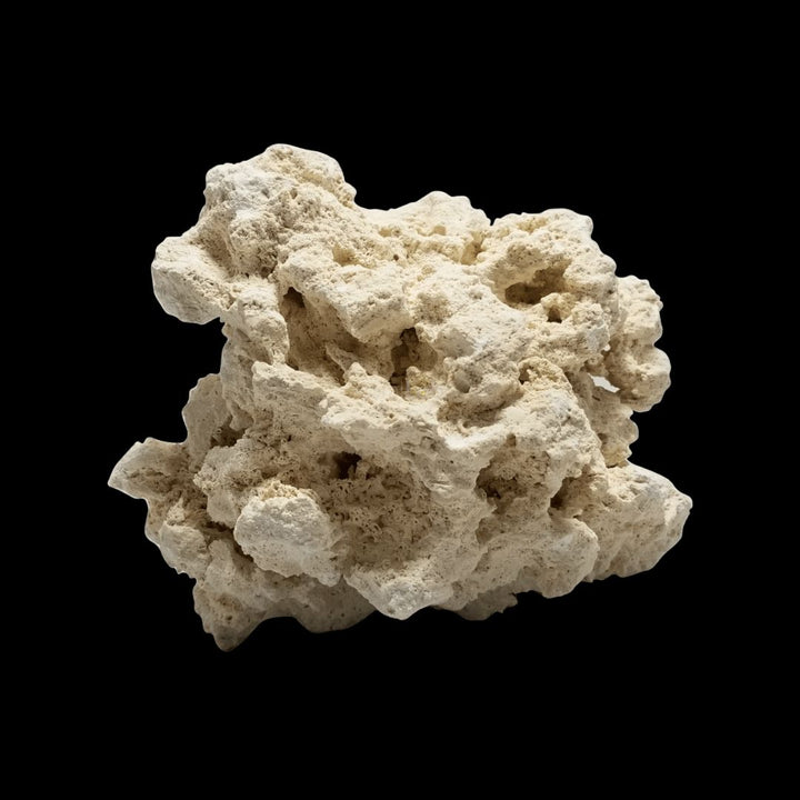 Reef Unity Dry Base Rock Indonesia