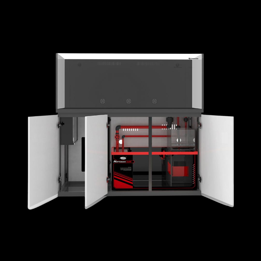 Neptunian Cube M-Pro 150 (572L)