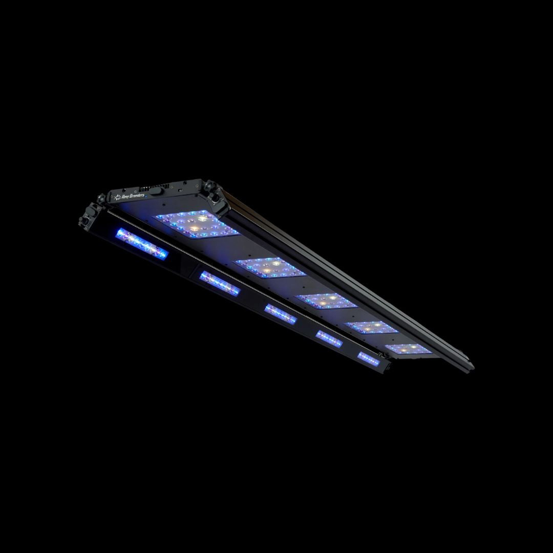 ReefBreeders Meridian 63 Edge Bar Sett