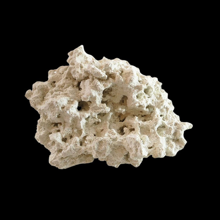 Reef Unity Dry Base Rock Indonesia