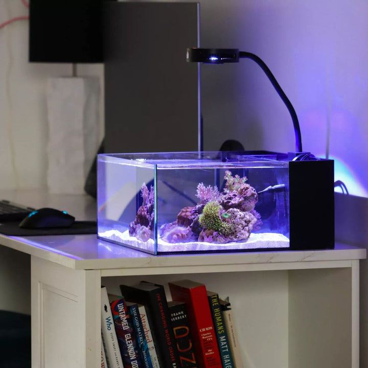 Reef Casa Pico 22L Akvarium
