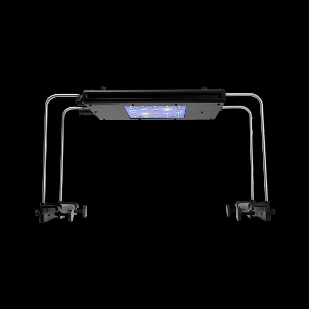 Reef Breeders Meridian 11