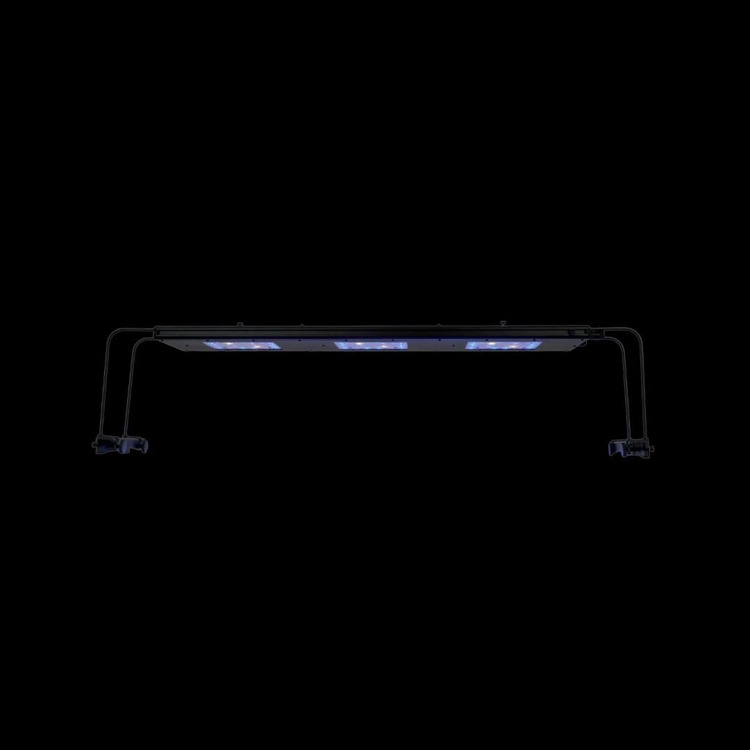 Reef Breeders Meridian 35