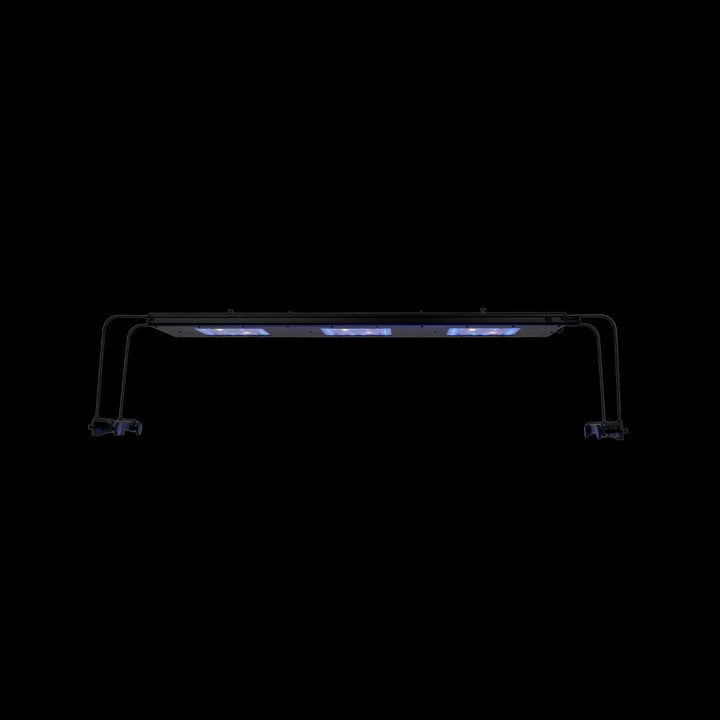 Reef Breeders Meridian 35