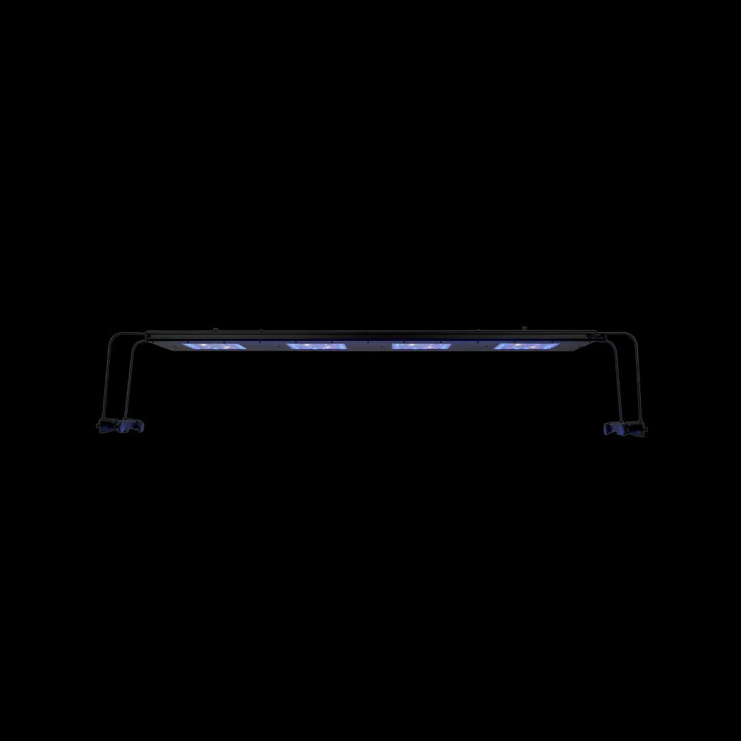Reef Breeders Meridian 63