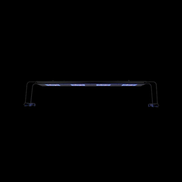 Reef Breeders Meridian 63