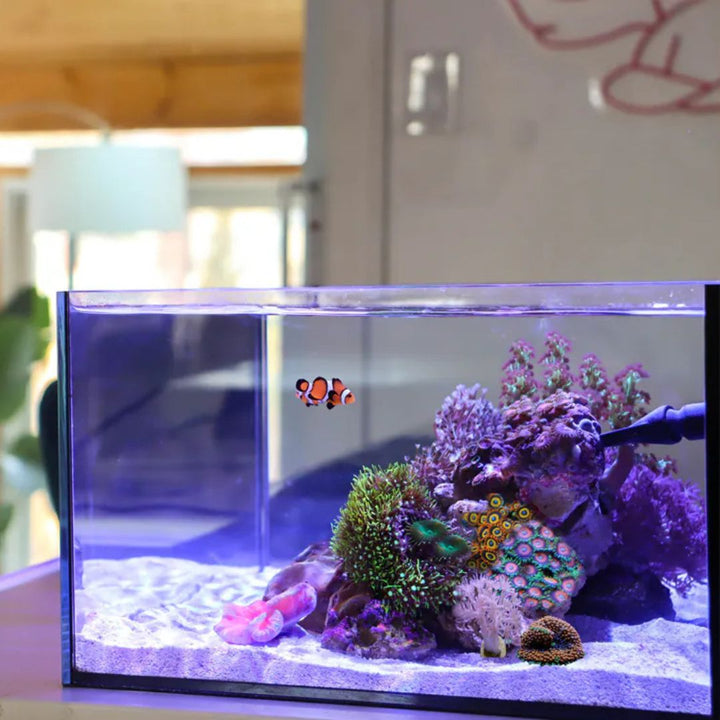 Reef Casa Pico 22L Akvarium