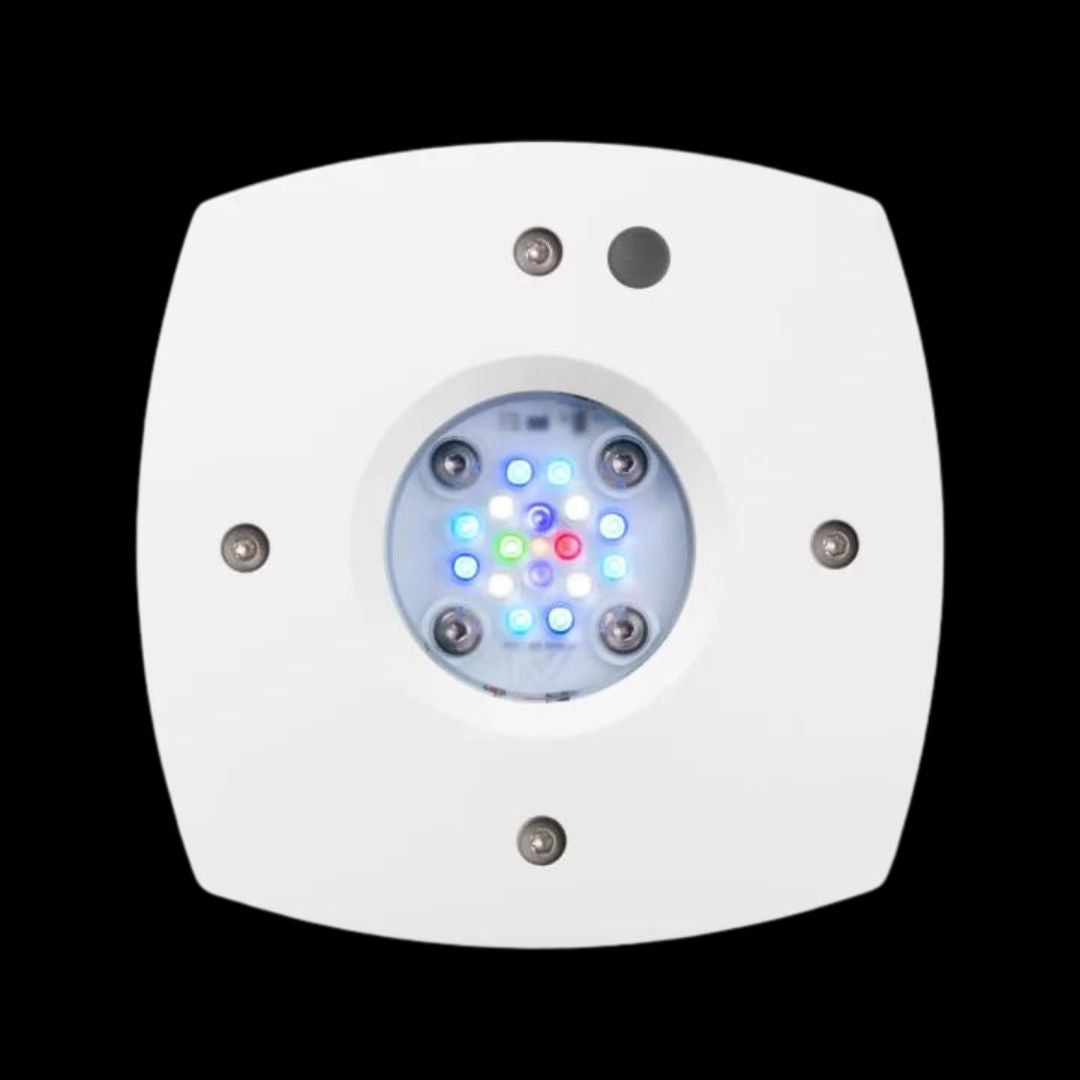AI Prime 16HD LED Lys