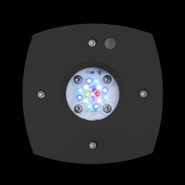 AI Prime 16HD LED Lys