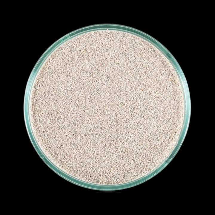 CaribSea Bahama's Oolite Sand 0-1mm - 9,07 kg