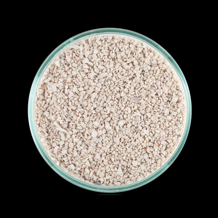 CaribSea Special Grade Reef Sand - 9,07 kg