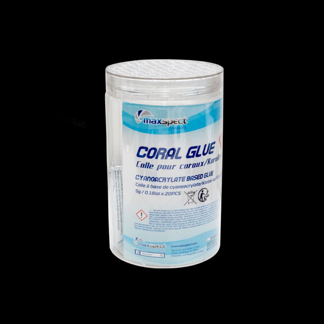 Maxspect Coral Glue