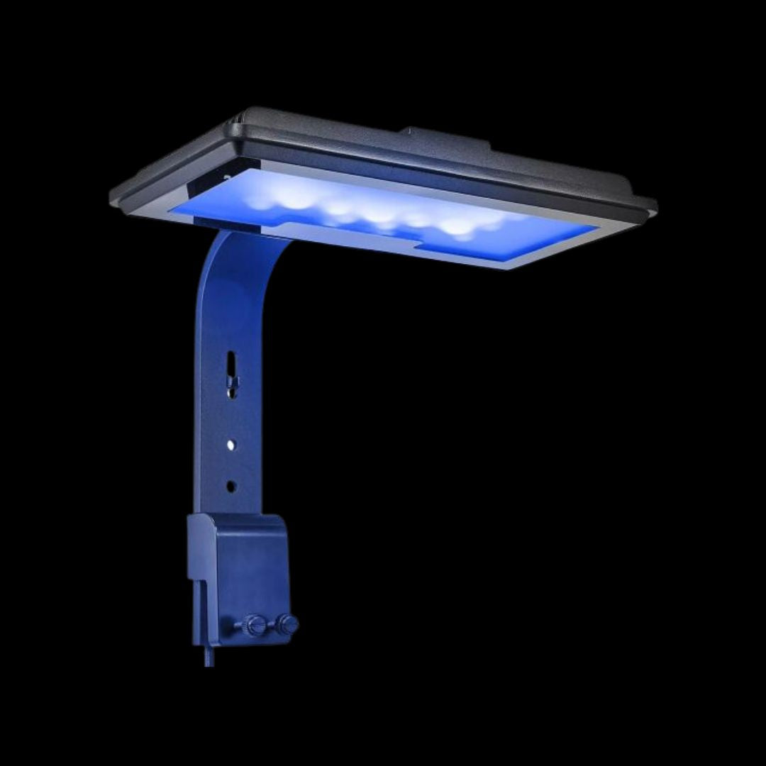Maxspect Jump LED 30W LED