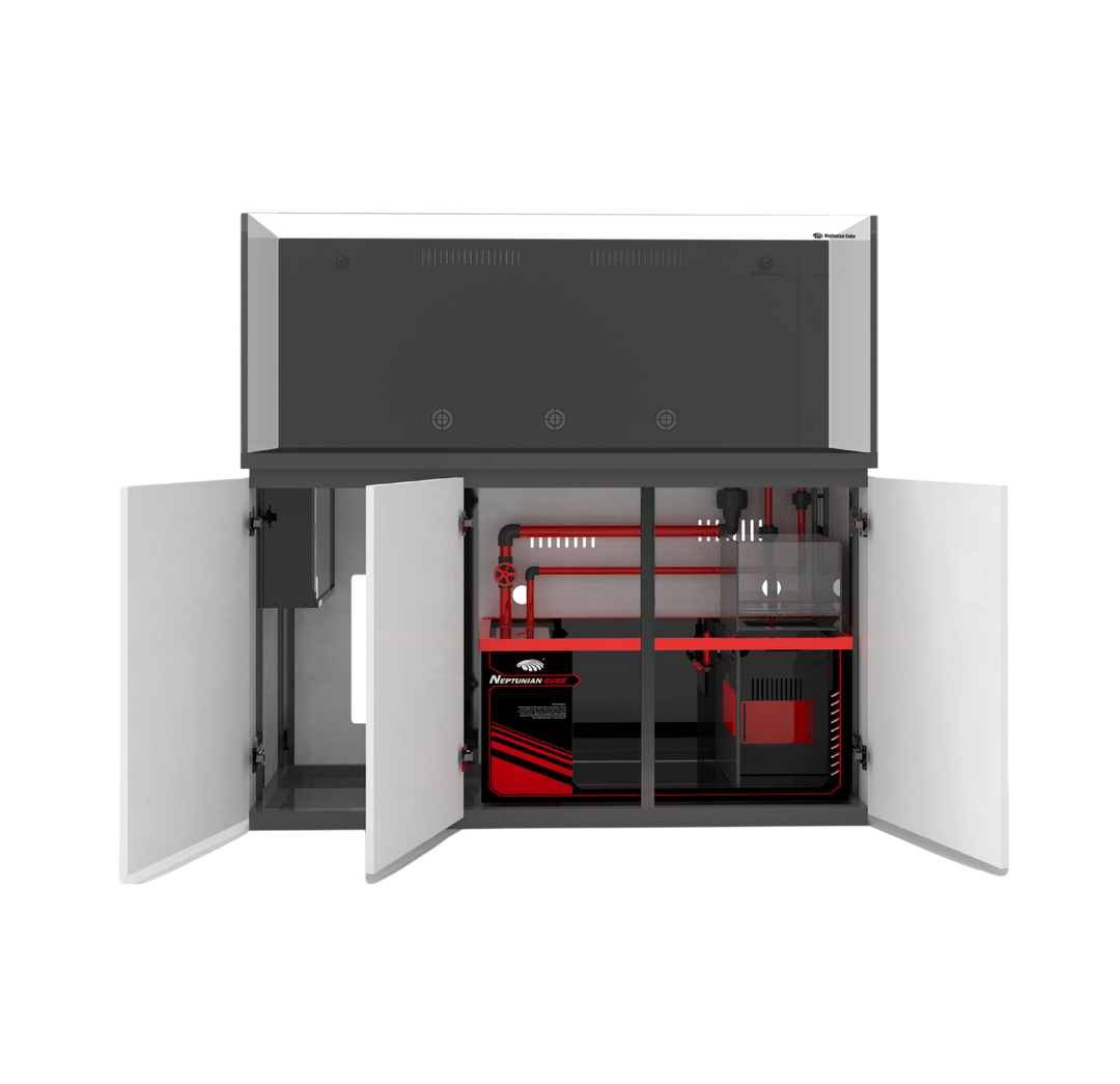 Neptunian Cube M-Pro 150 (572L)