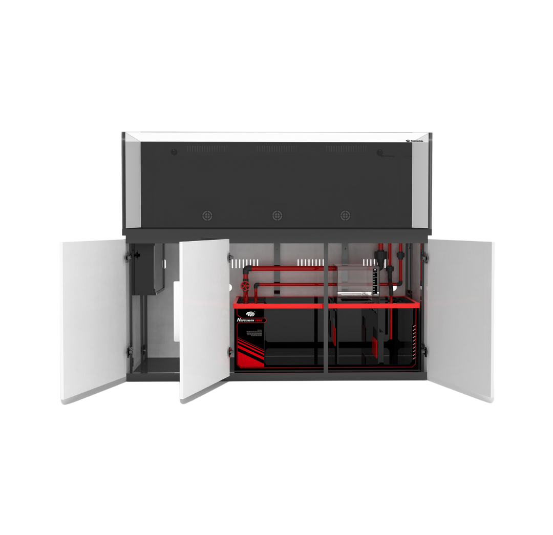 Neptunian Cube M-Pro 180 (683L)