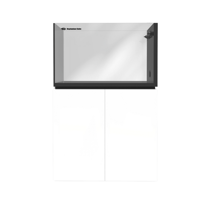 Neptunian Cube P-90 Peninsula (362L)