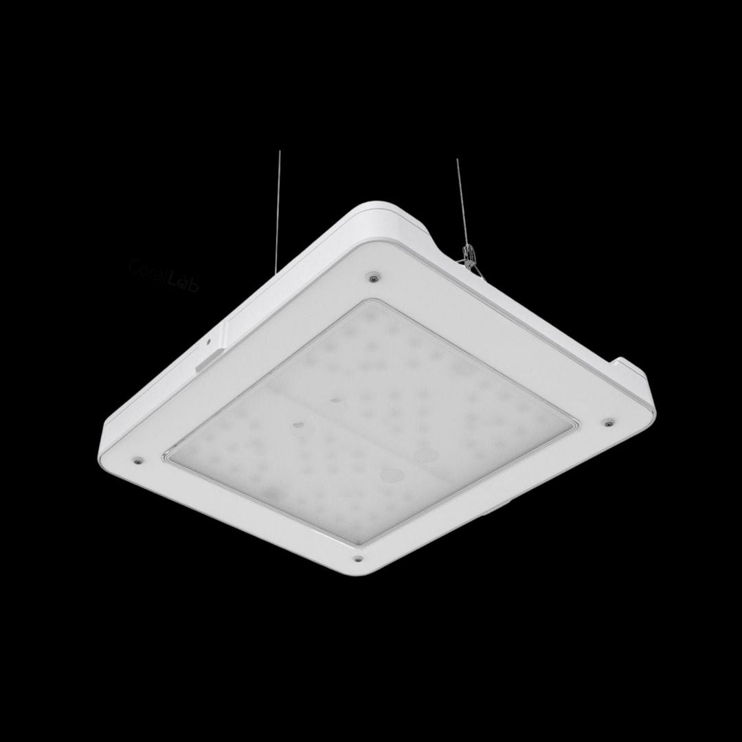 Philips CoralCare LED Gen2 – White