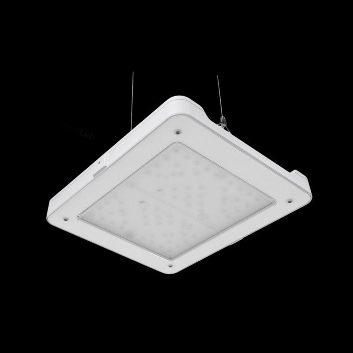 Philips CoralCare LED Gen2 – White