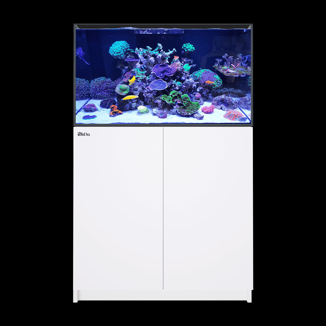 Red Sea REEFER G2+ XL 250