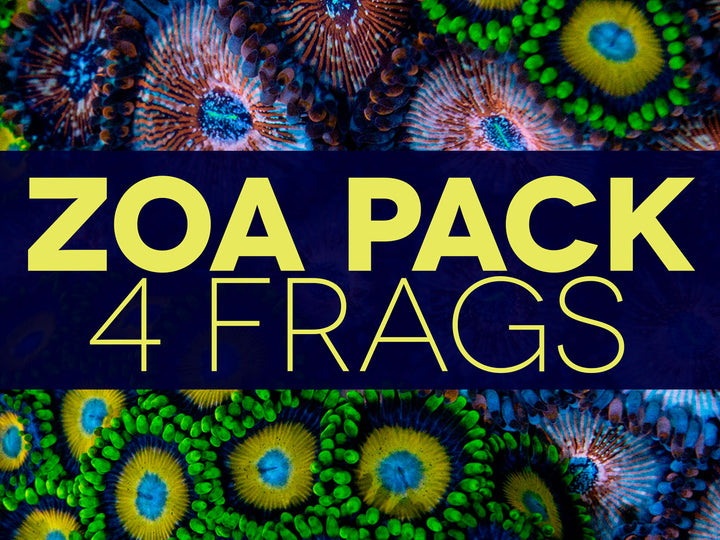 CoralLab Zoa 4 Pack - Korall pakke
