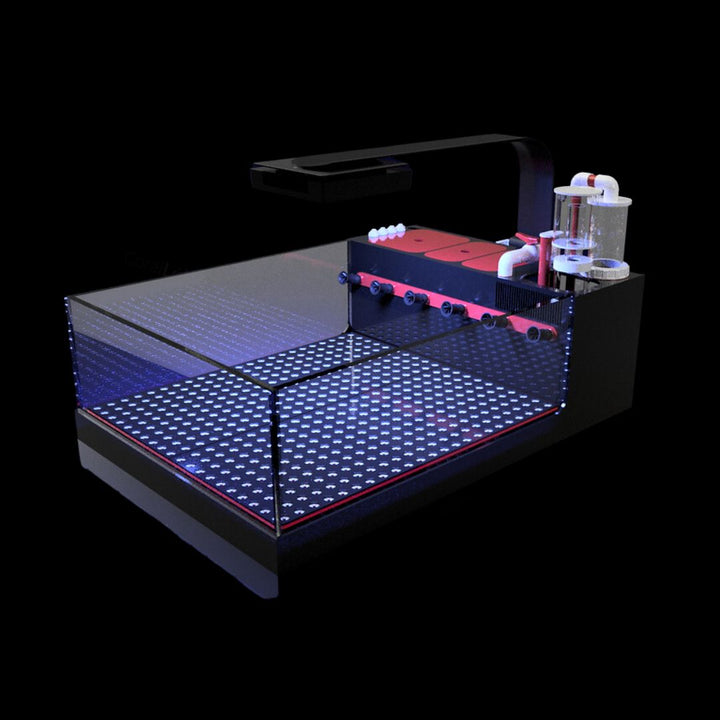 The Polyp Pros Frag Tank XL
