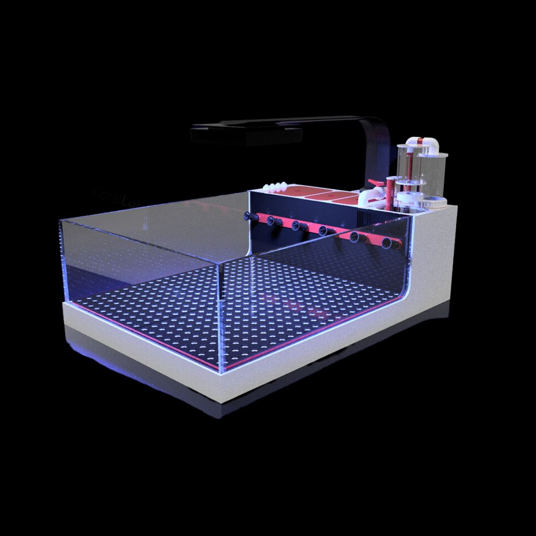 The Polyp Pros Frag Tank XL
