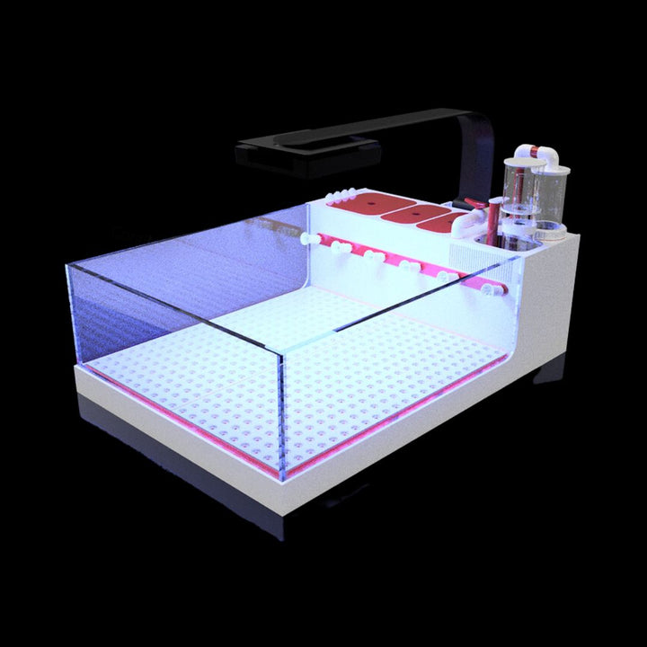 The Polyp Pros Frag Tank XL